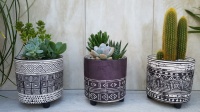 12cm Nazca Pot with Plant (5)